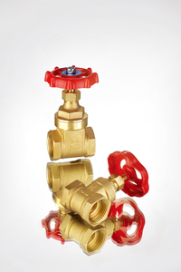 BRASS GATE VALVES