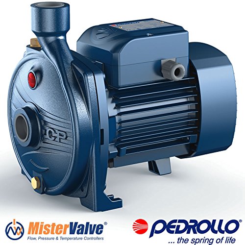 Pedrollo Surface Pump 1HP